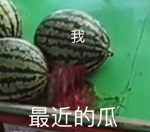娱乐吃瓜全部,揭秘明星幕后故事，吃瓜群众狂欢盛宴