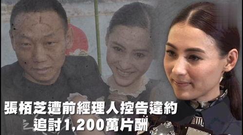 娱乐吃瓜大全,吃瓜大全带你领略明星幕后故事