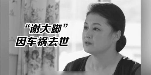 娱乐圈吃瓜群众111,揭秘“吃瓜群众111”背后的真相