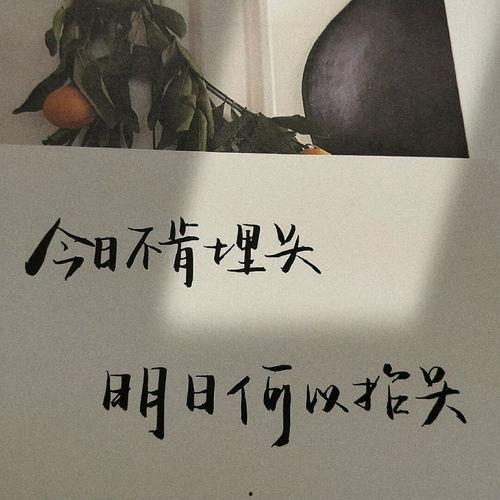 吃瓜娱乐文案句子图片,揭秘吃瓜娱乐文案背后的趣味与智慧