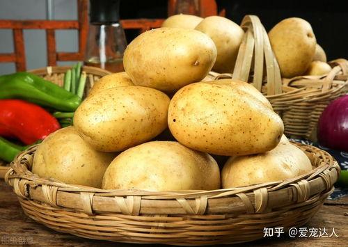 吃瓜娱乐圈土豆是谁,揭秘明星幕后故事