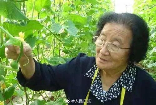 娱乐吃瓜姐中国厨师,从厨艺传承到娱乐焦点